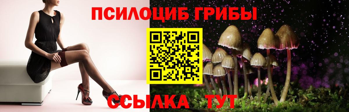 Галлюциногенные грибы мицелий  Вход с VPN  Галлюциногенные грибы прущие грибы  Удомля 
